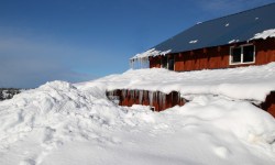 Etiam dictum egestas